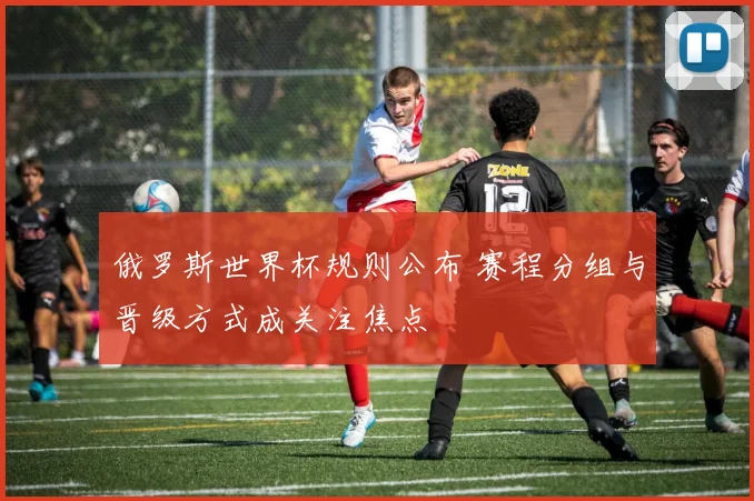 俄罗斯世界杯规则公布 赛程分组与晋级方式成关注焦点