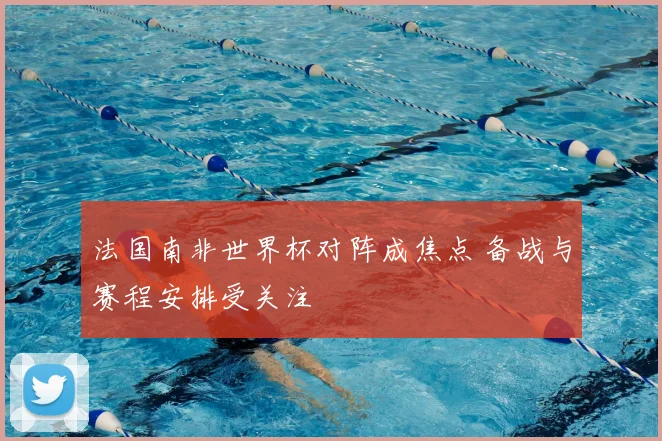 法国南非世界杯对阵成焦点 备战与赛程安排受关注