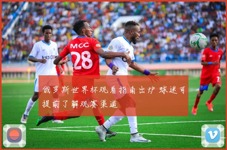 俄罗斯世界杯观看指南出炉 球迷可提前了解观赛渠道