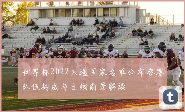 世界杯2022入选国家名单公布参赛队伍构成与出线前景解读