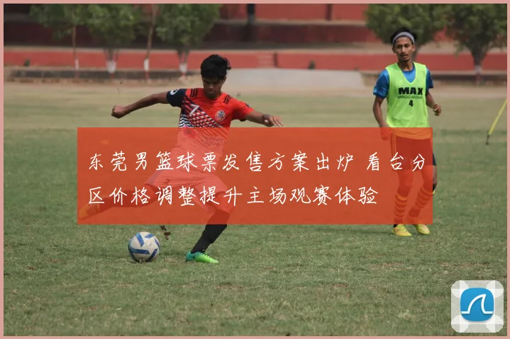 东莞男篮球票发售方案出炉 看台分区价格调整提升主场观赛体验